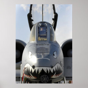 Poster A-10 Aeronave Thunderbolt II