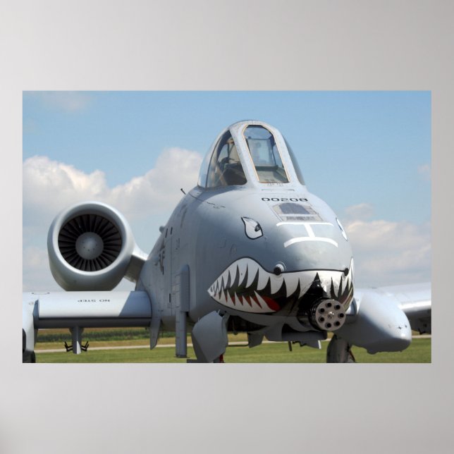 Poster A-10 Thunderbolt II (Frente)