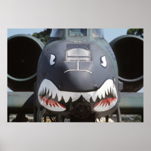 Póster A-10_Thunderbolt_II_Shark_Face