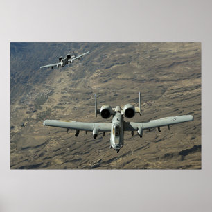 Poster A-10 Warthogs