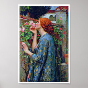 Poster A Alma do Rosa, John William Waterhouse