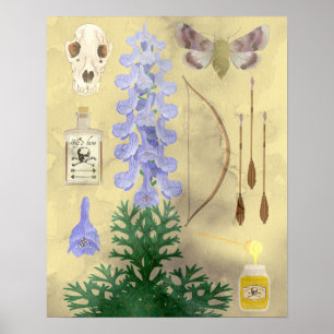 Poster A amargura do lobo