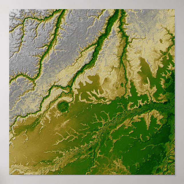 Poster A Amazônia boliviana (Frente)