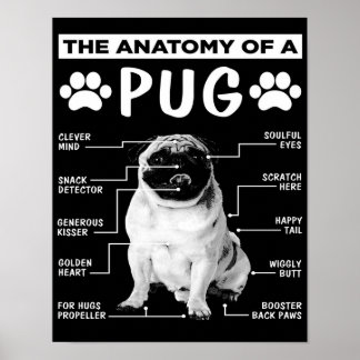 Poster A Anatomia De Um Pet Pug