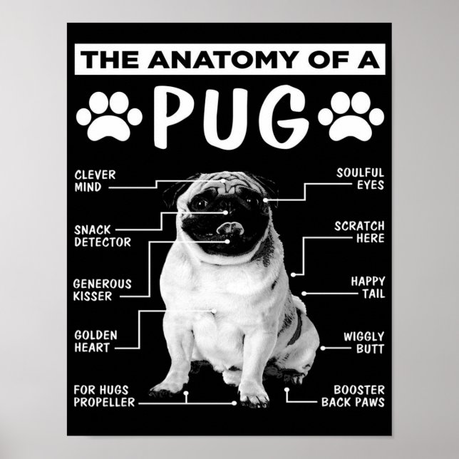 Poster A Anatomia De Um Pet Pug (Frente)