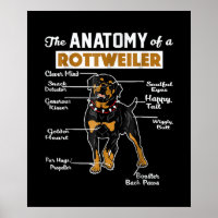 A Anatomia De Um Rottweiler | Pão-Cão Legal