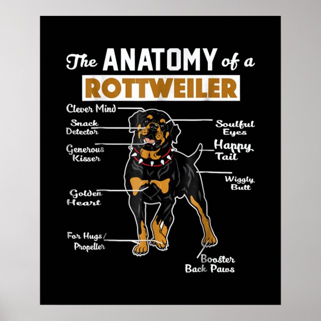 Poster A Anatomia De Um Rottweiler | Pão-Cão Legal (Frente)