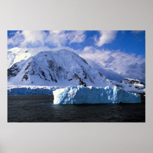 Póster A Antártica