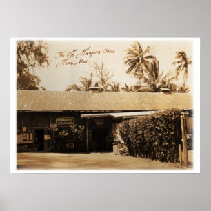 Póster A Antiga Loja Hasegawa