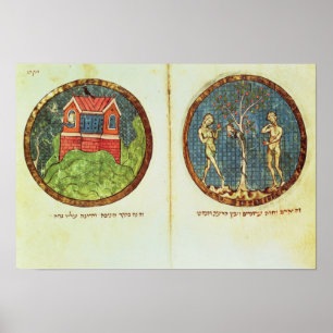 Póster A arca de Noah e o Adam e a véspera
