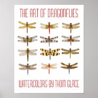 A Arte De Dragonflies