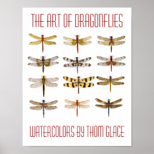 Poster A Arte De Dragonflies