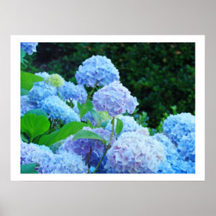 Poster A arte imprime a flora azul decorativa das flores