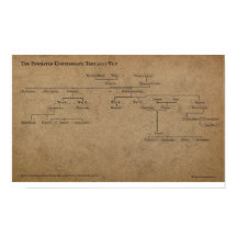A Árvore da Confederação Powhatan 2007