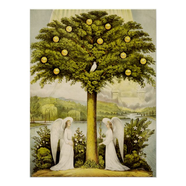 Póster A árvore da vida (Frente)