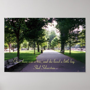 Póster A árvore de doação