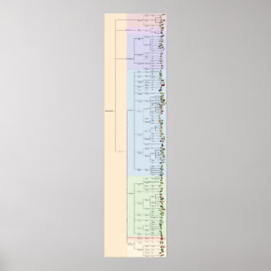 Póster A Árvore do Yum: Plantae