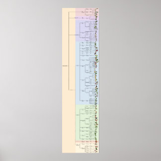 Póster A Árvore do Yum: Plantae