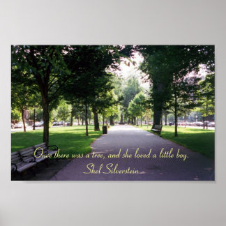 Póster A Árvore Doadora