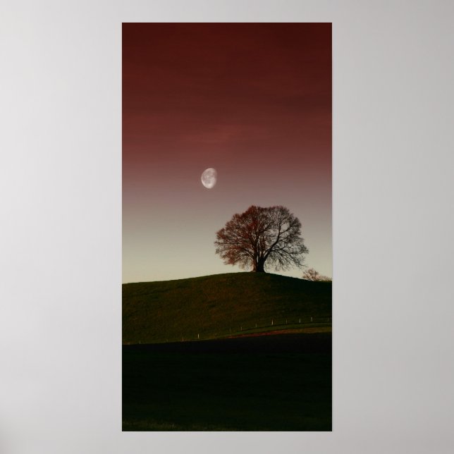 Poster A árvore solitário e a lua pálida (Frente)