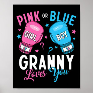 Poster A Avó Rosa Ou Azul Te Ama A Fazer Uma Revelação De
