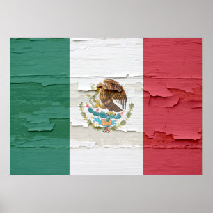 Póster A bandeira de México resistiu