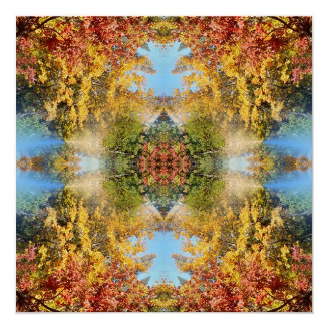 Póster A bela floresta no outono... (Frente)