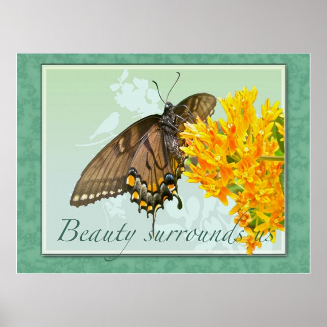 Póster A Beleza da Borboleta do Swallowtail de Tiger nos  (Frente)