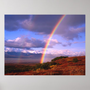 Póster A beleza do arco-íris