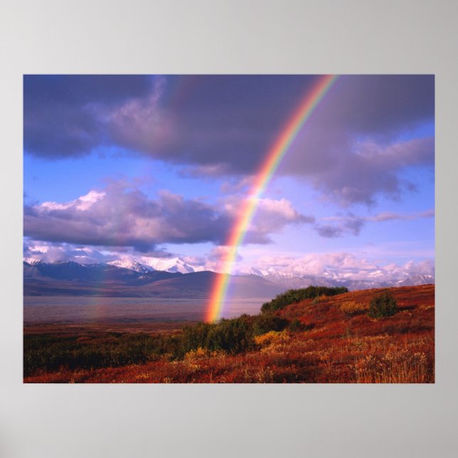 Póster A beleza do arco-íris (Frente)