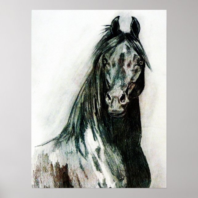 Póster A Beleza Escura (Frente)