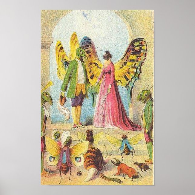 Póster A Bola da Borboleta (Frente)