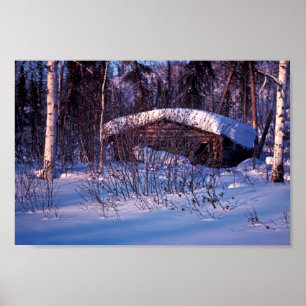 Póster A cabine do caçador idoso