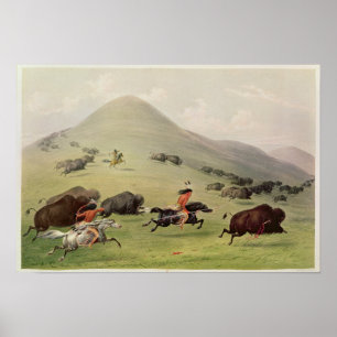 Póster A caça do búfalo, c.1832