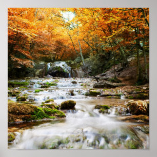 Póster A cachoeira bonita na floresta, outono