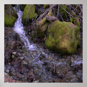 Poster A cachoeira do Fae......