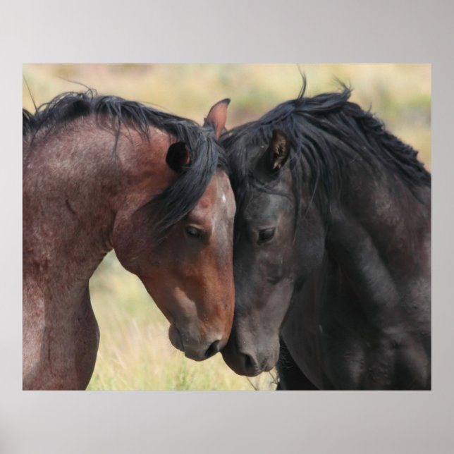 Póster A Calma (Frente)