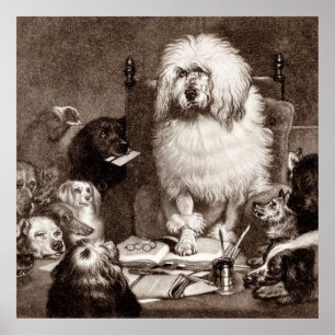 Póster A caniche w do magistrado dos 1800s do vintage