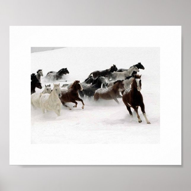 Poster A carga dos cavalos. (Frente)