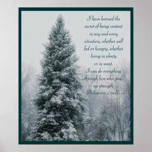 Póster A cena cristã secreta do inverno