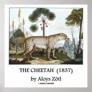 Poster A chita (1837) por Aloys Zötl