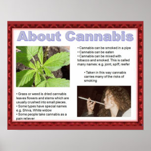 Póster A cidadania, habilidades da vida apenas diz não!