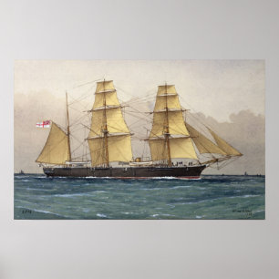 Póster A Cisne selvagem, 1906