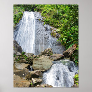 Poster A coca cai da floresta nacional de el yunque