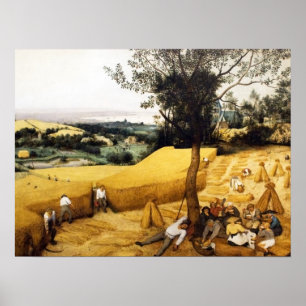 Póster A colheita de milho - 1565