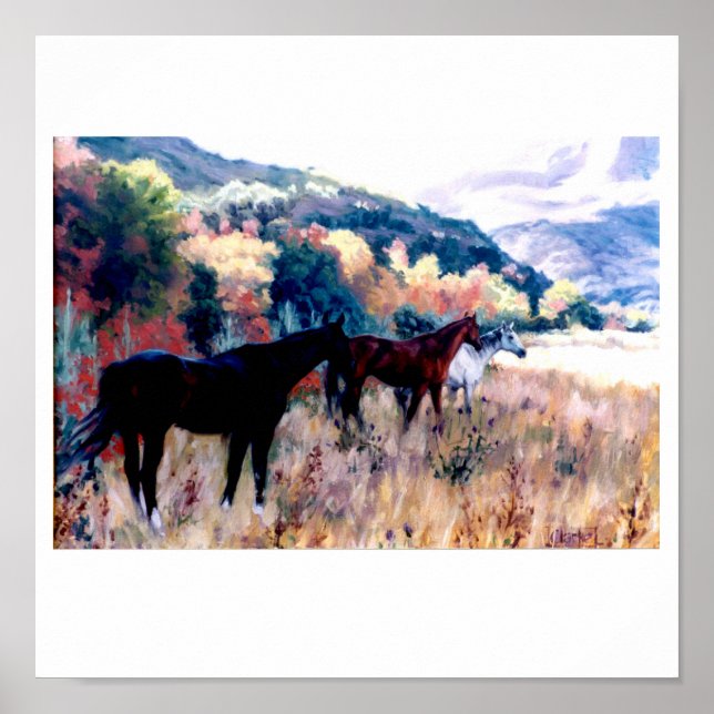 PÓSTER A COMETH DA GRAINWOMA (Frente)