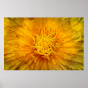 Poster A cor amarelo