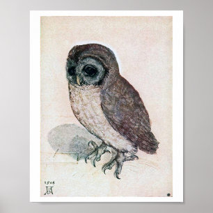 Poster A Coruja Albrecht Durer