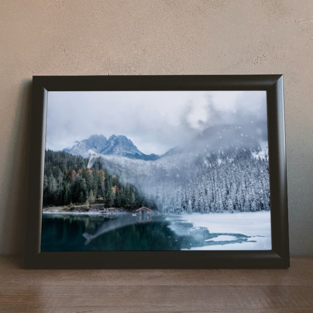 Poster A coruja de neve: Bringer de inverno (Bringer of winter)