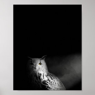 Poster A coruja, preto e branco, fotografa
